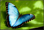 DigitalScape Photography Images