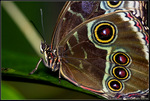 DigitalScape Photography Images