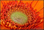 DigitalScape Photography Images