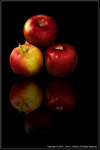 DigitalScape Photography