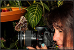 DigitalScape Photography