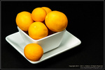 DigitalScape Photography