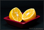 DigitalScape Photography