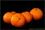 DigitalScape Photography