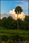 DigitalScape Photography
