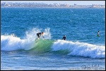 DigitalScape Photography