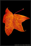DigitalScape Photography