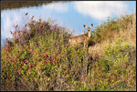 DigitalScape Photography
