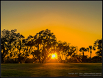 DigitalScapePhotography
