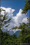 DigitalScape Photography