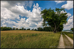 DigitalScape Photography