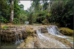 DigitalScape Photography