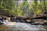 DigitalScape Photography