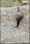 DigitalScape Photography