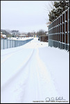DigitalScape Photography
