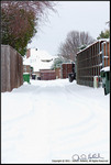 DigitalScape Photography