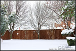 DigitalScape Photography