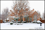 DigitalScape Photography
