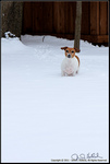 DigitalScape Photography
