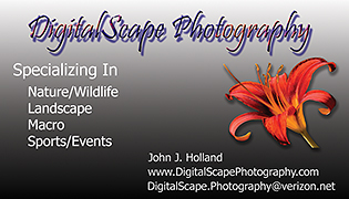 Business Card